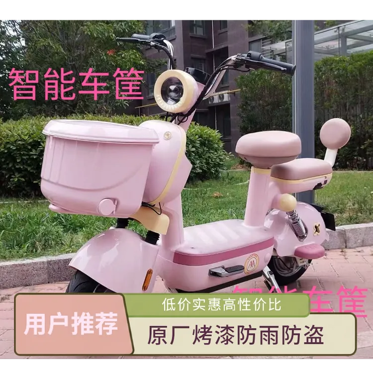 科戴亚爱玛雅迪台铃电动车高端车筐车篮尾箱带充电功能防水