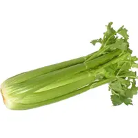 西芹500g/份