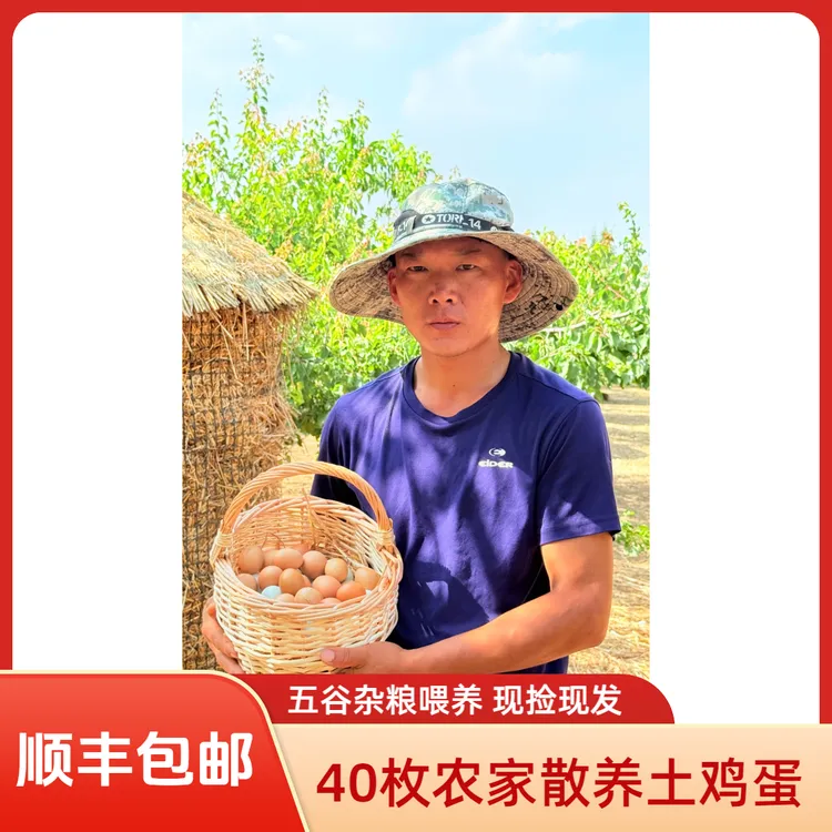 40枚散养土鸡蛋 五谷杂粮林间散养土鸡蛋100%纯土鸡蛋