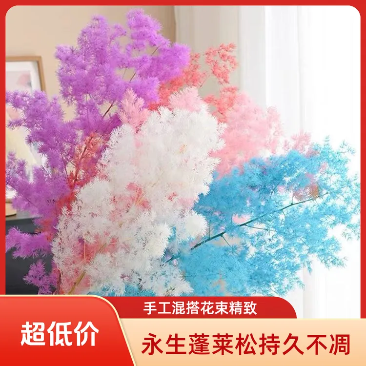 蓬莱松永生花干花适合手工插花的保鲜花材用于家居装饰小支5支装