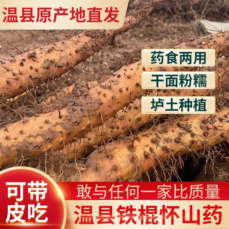 【5斤大果】焦作温县正宗铁棍山药新鲜现挖香甜粉糯营养高品质好