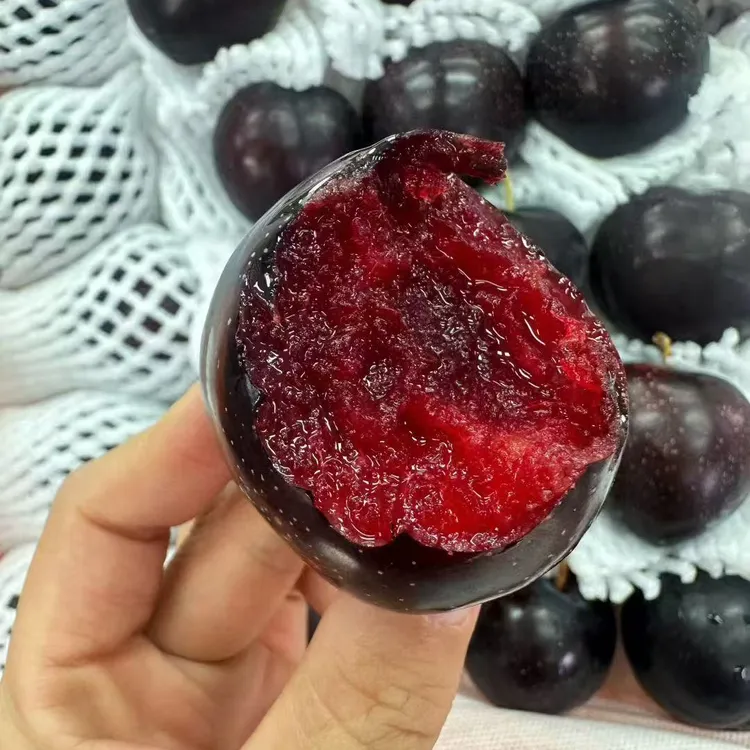 新鲜应季新疆樱桃李红心脆甜空运李子 当季蜜李