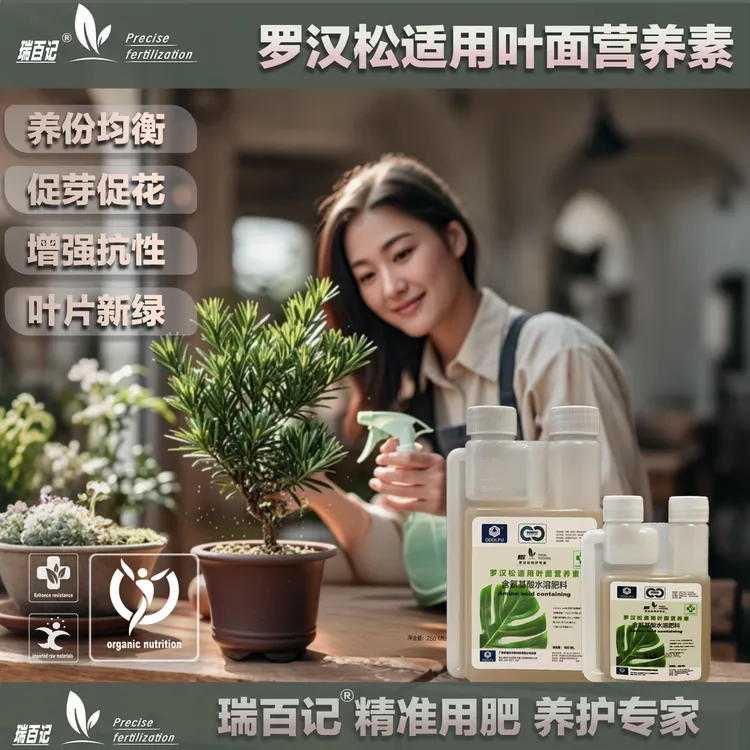 韩国原装进口罗汉松专用氨基酸叶面肥防黄枯落肥料