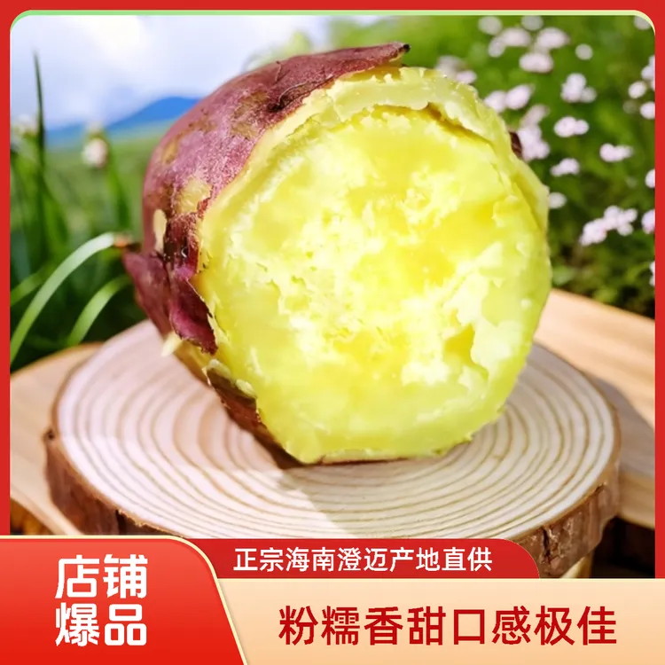 海南板栗红薯【正宗】海南澄迈桥头沙地板栗红薯新鲜现挖软糯香甜适合做早餐辅食
