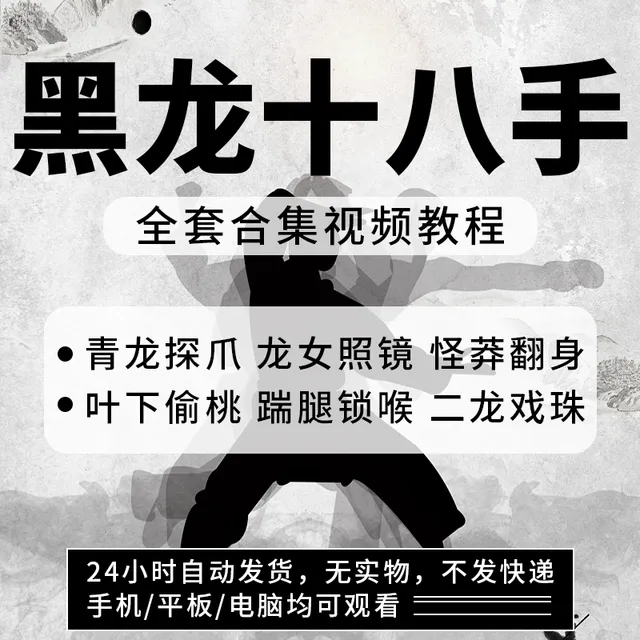 黑龙十八手手视频教程 一招制敌 武术擒拿格斗黑龙十八