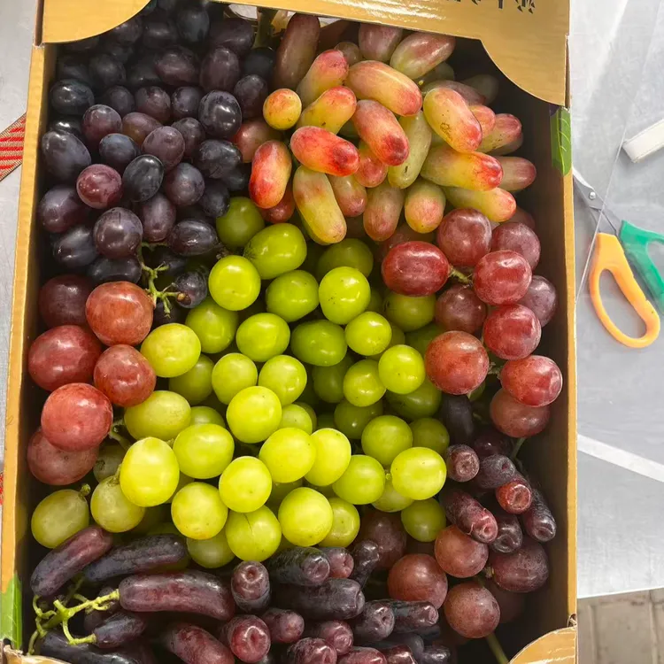 中秋礼盒葡萄礼盒拼装混装葡萄沟玫瑰香蓝宝石美人指红提马奶顺丰