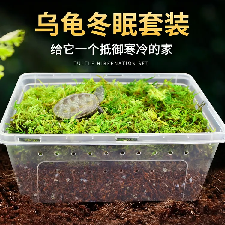 乌龟冬眠用品巴西龟草龟专用冬眠箱小饲养盒保温过冬窝椰土沙全套