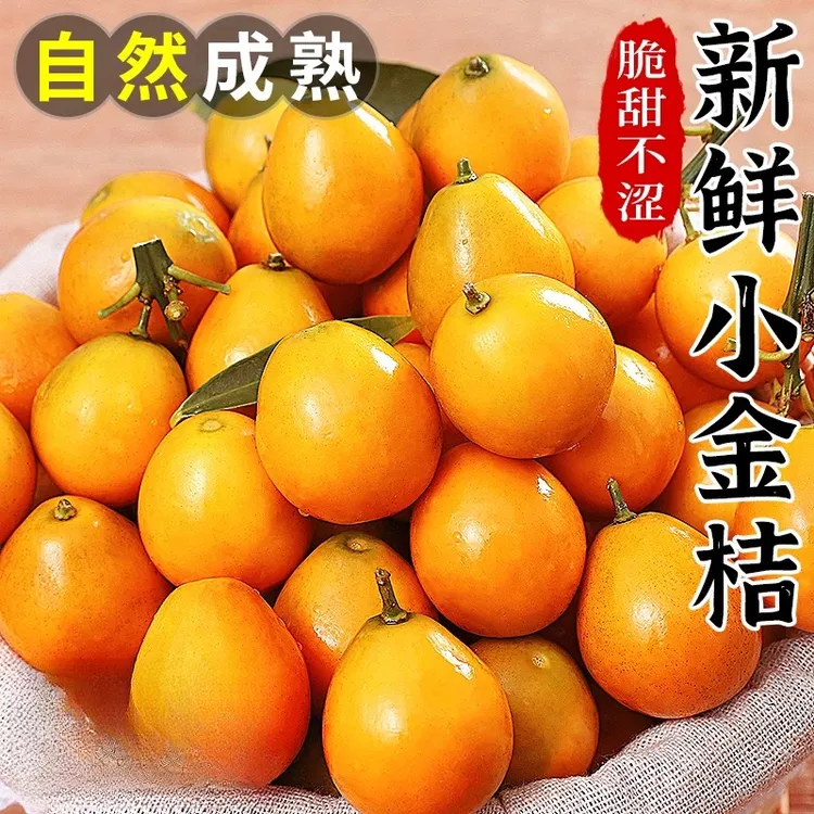 【顺丰包邮】 当季正宗新鲜采摘水果黄皮油皮脆皮金桔皮薄多汁整箱