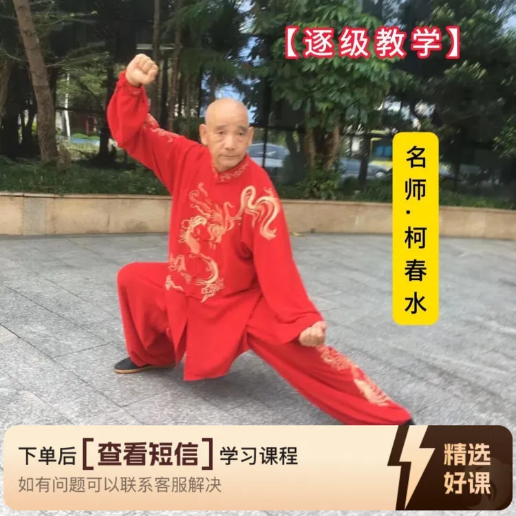 古传站桩【梯级教学】（留意短信解锁课程）