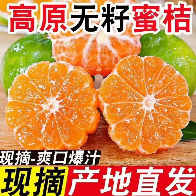 正宗宜昌无籽蜜桔新鲜现摘蜜橘酸甜多汁当季水果橘子孕妇水果桔子