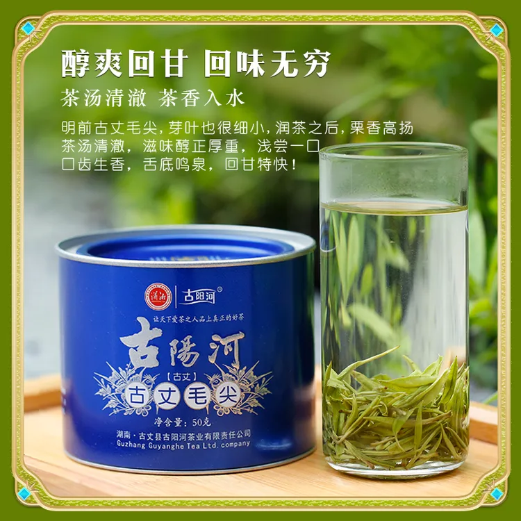 明前绿茶茶叶高山云雾茶古阳河古丈毛尖茶正宗毛尖高级2025新茶