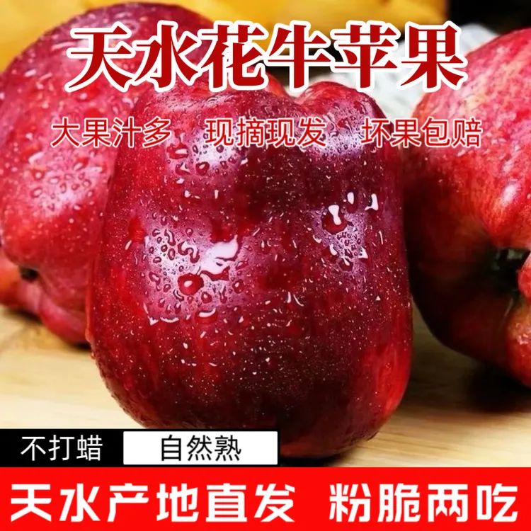 甘肃天水花牛苹果新鲜应季水果辅食5斤8斤