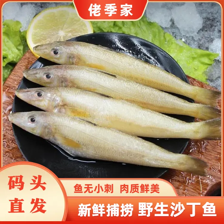 佬季家 山东威海码头直发深海捕捞沙丁鱼