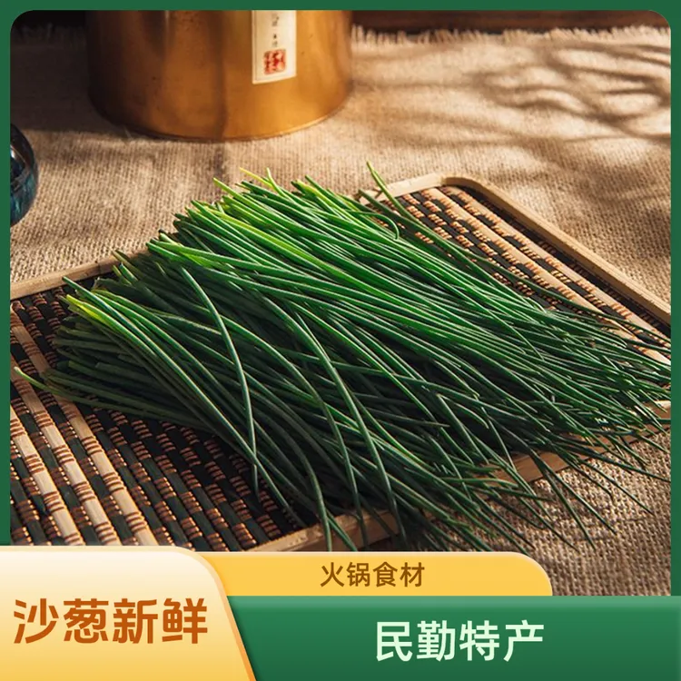 新鲜沙葱民勤特产顺丰包邮火锅食材保鲜野葱