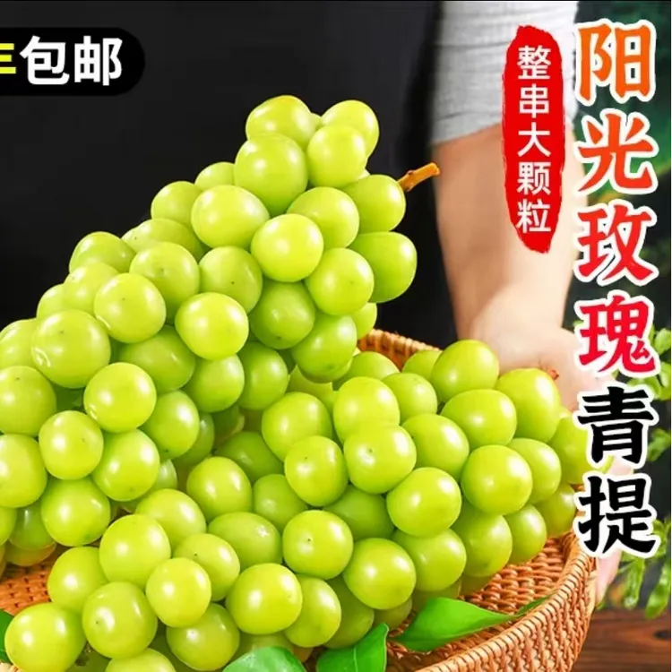 阳光玫瑰葡萄青提