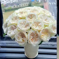【云舍花卉】【贝拉】单头玫瑰全场任意满两单及以上鲜花包邮