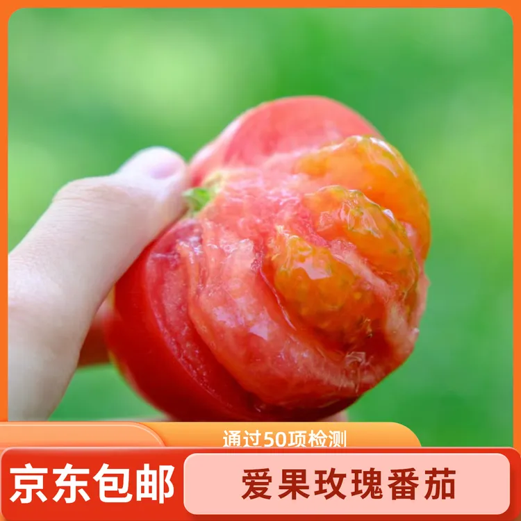 玫瑰草莓番茄皮薄沙瓤酸甜爆浆多汁生吃自然熟孕妇水果西红柿商品图