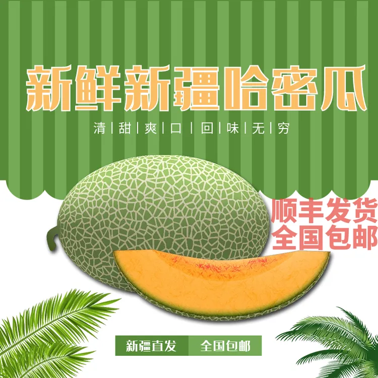 【全国顺丰包邮新疆直发】新疆西州蜜新鲜哈密瓜新疆大哈密瓜