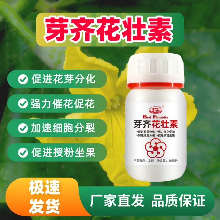 芽齐花壮素 中量元素肥辣椒黄瓜葡萄柑橘促花芽分化授粉现蕾