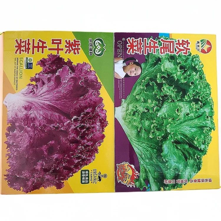 紫叶生菜+绿叶生菜籽