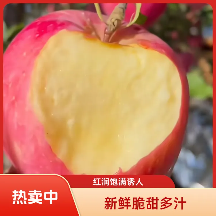 甘肃庆阳早熟新品华硕苹果皮薄脆甜多汁新鲜采摘产地直发