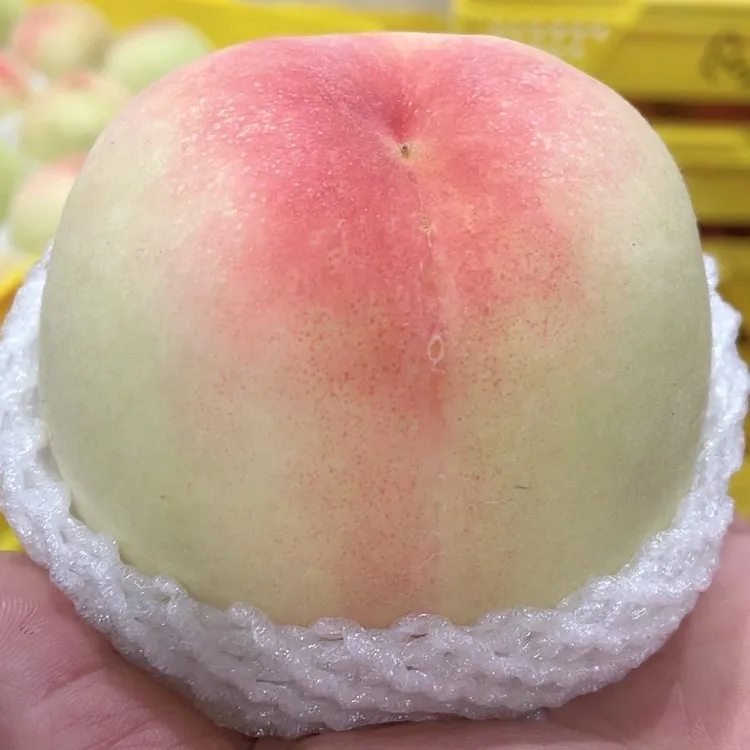 无锡水蜜桃大6只装