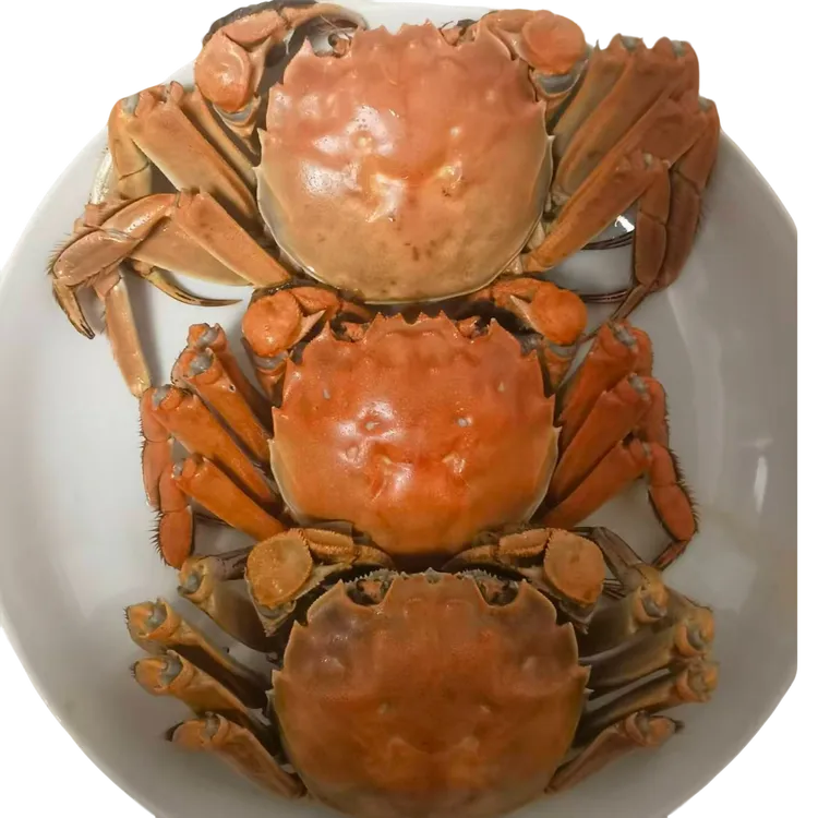 【活蟹】兴化大闸蟹全母3.3-3.6两/只  6只/8只/10只