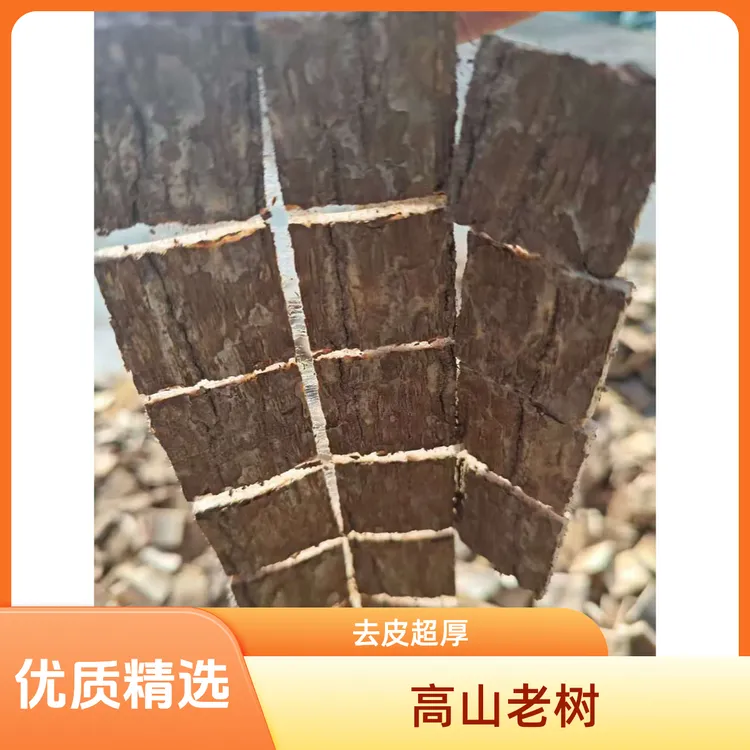 伏牛山高山杜仲老树杜仲皮厚皮新货精选杜仲皮水洗刮皮泡水泡酒 