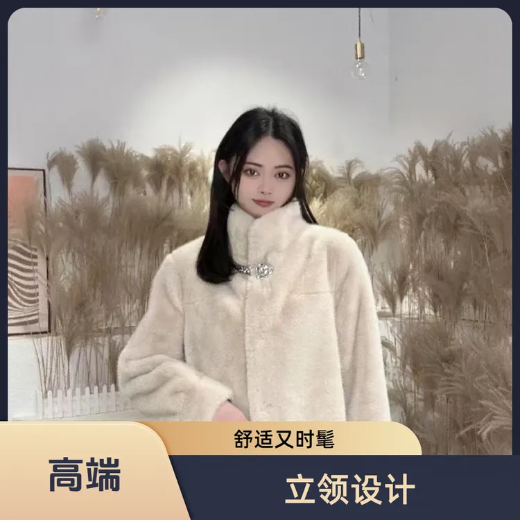 人造皮草 【新疆包邮】立领休闲百搭女士雪兰貂皮草短款外套