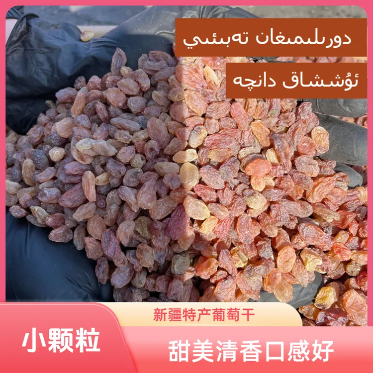 红葡萄干新疆ئاپتاۋىئۈزۈمقېقى