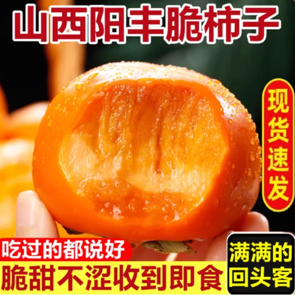 新鲜现摘巧克力冰糖脆柿子当季甜脆硬柿子