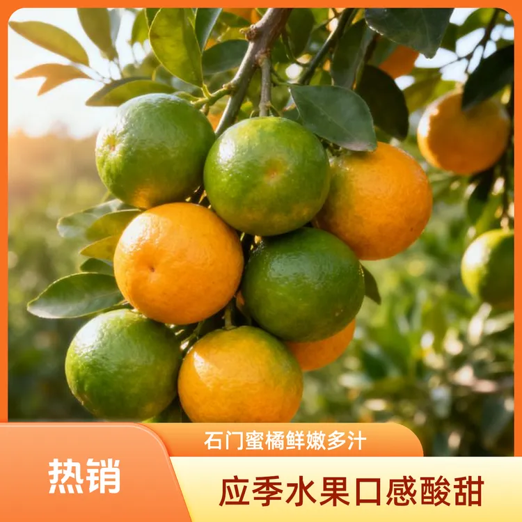 石门蜜橘现摘现发蜜橘子薄皮多汁酸爽甜新鲜应季水果