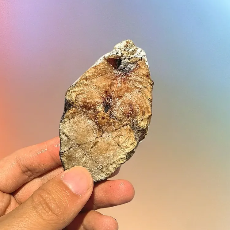 马鲛鱼干东海马鲛鱼海鲜干货新鲜生鲜顺丰快递