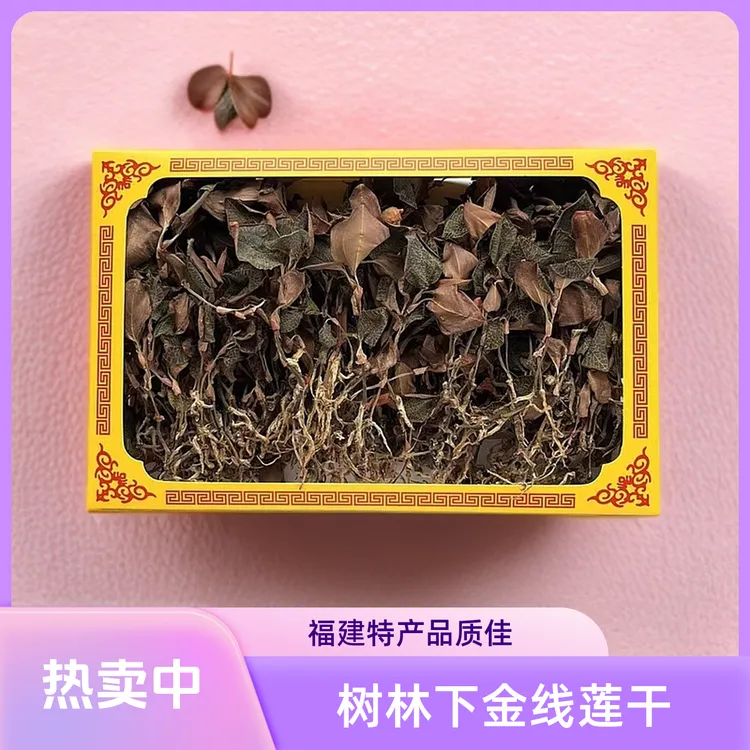 树林下金线莲干品福建细叶红霞品种批发正宗农产品食用佳品