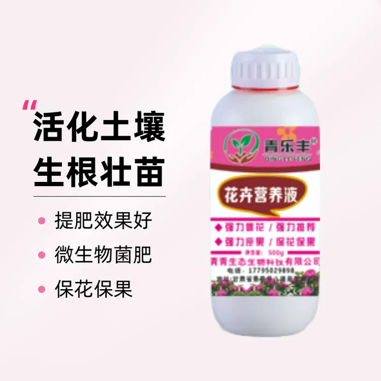 花卉瓜果蔬菜营养液活化土壤生根壮苗轻松微生物菌肥500g