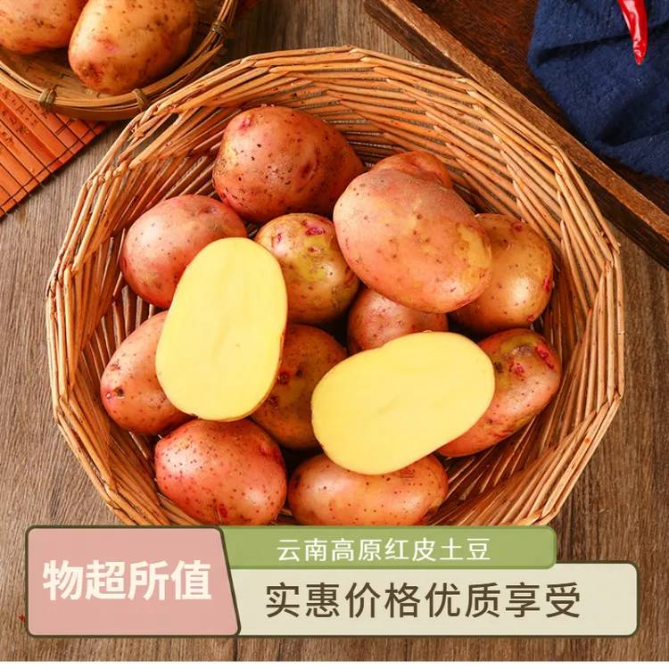 正宗云南高原红皮黄心土豆新鲜农家红皮土豆洋芋红心土豆