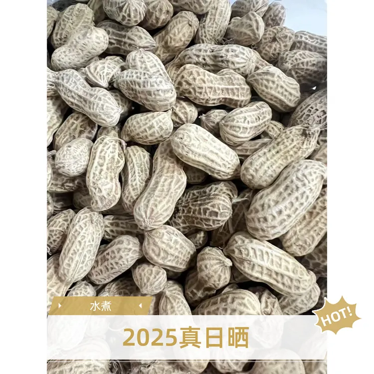 （信和臻选）2025年秋花生新货 水煮日晒好吃不上火半干口感不易坏