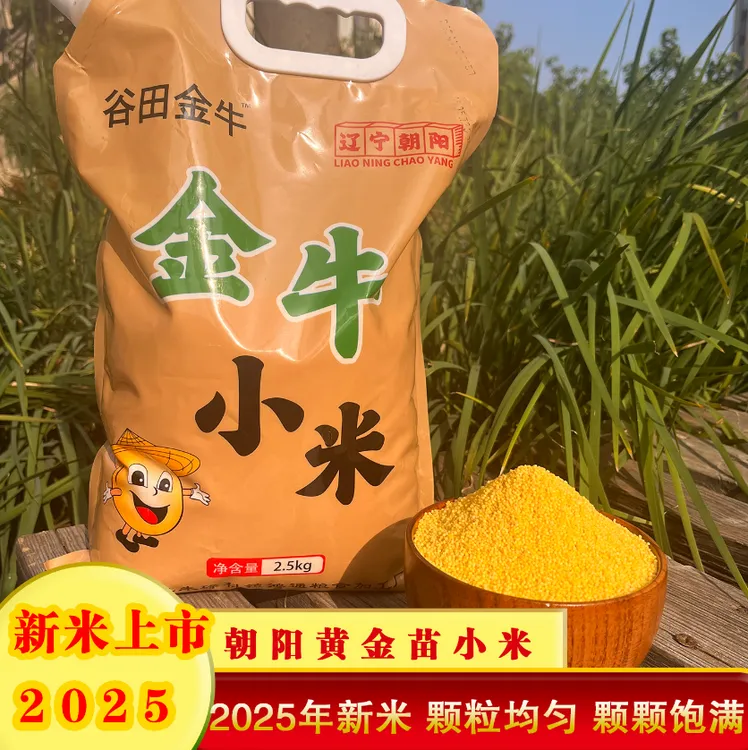 【达人推荐】2025新米谷田金牛朝阳黄金苗小米