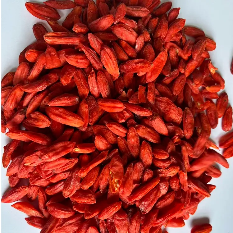 广供天下冻干枸杞红枸杞干果枸杞子养生茶枸杞