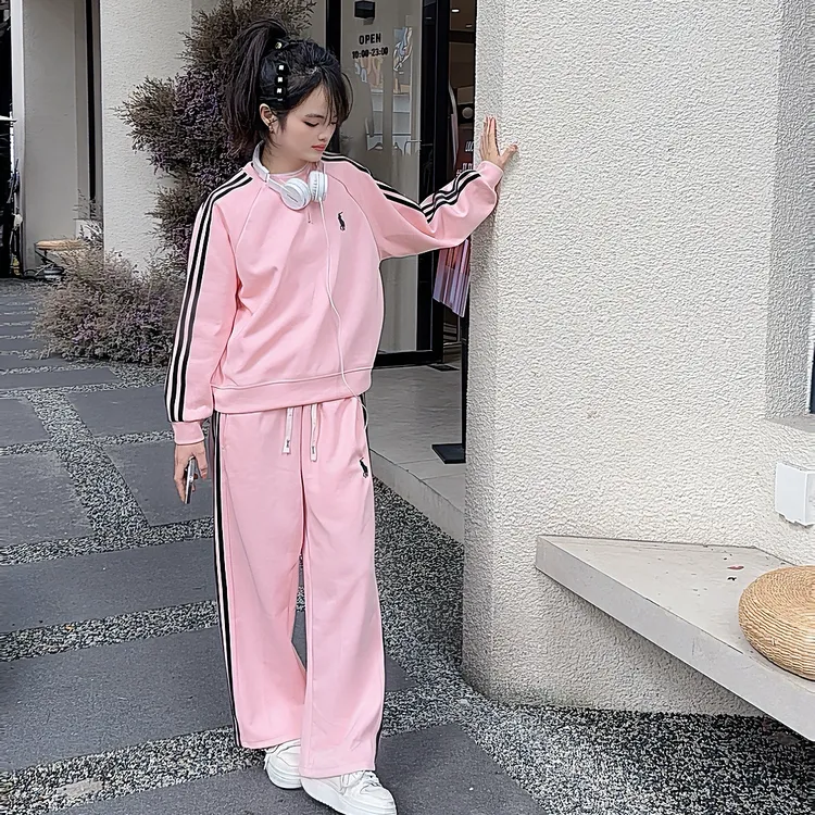 秋季2025新款韩版休闲百搭宽松简约刺绣长袖圆领套装女