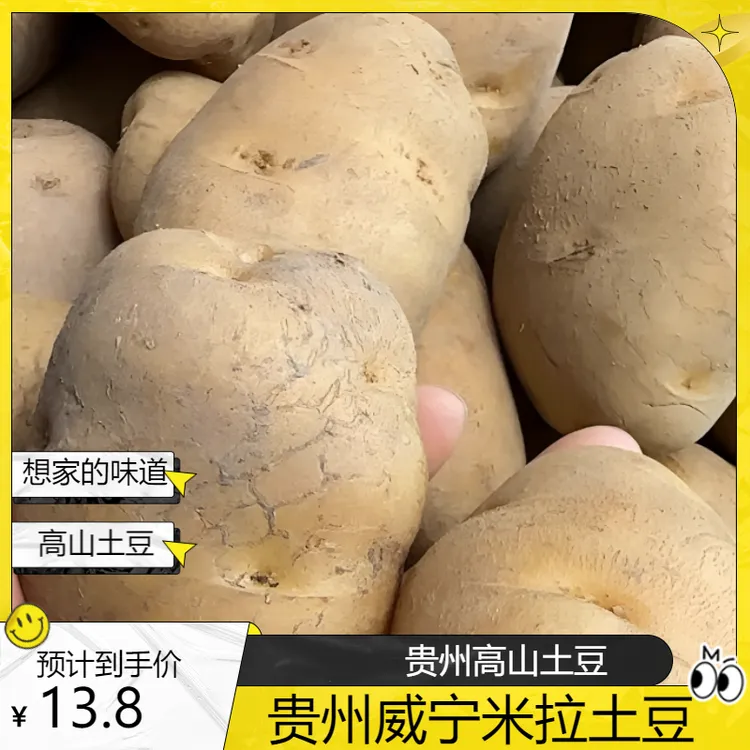 正宗贵州威宁老品种洋芋粉糯香甜农家肥种植土豆小土豆大洋芋