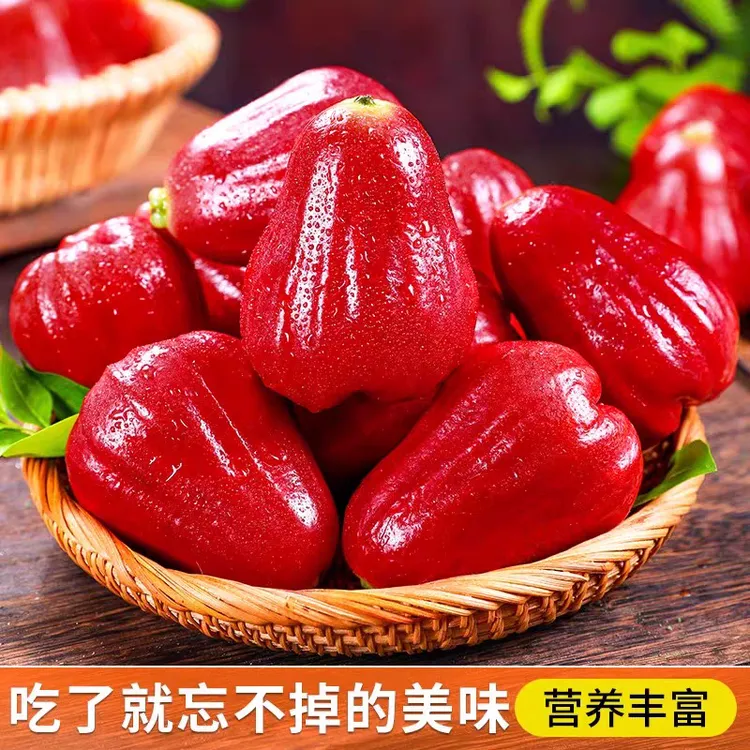 【顺丰/京东】海南三亚黑金刚莲雾清甜脆爽多汁新鲜应季仙女果水果