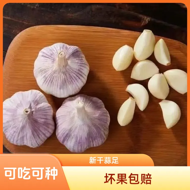 【低价冲量】新鲜全干2025年新干蒜十足干蒜农家新干蒜新晒干大蒜