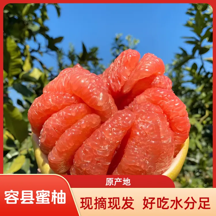 正宗广西容县红心蜜柚新鲜现摘精选大果礼盒装