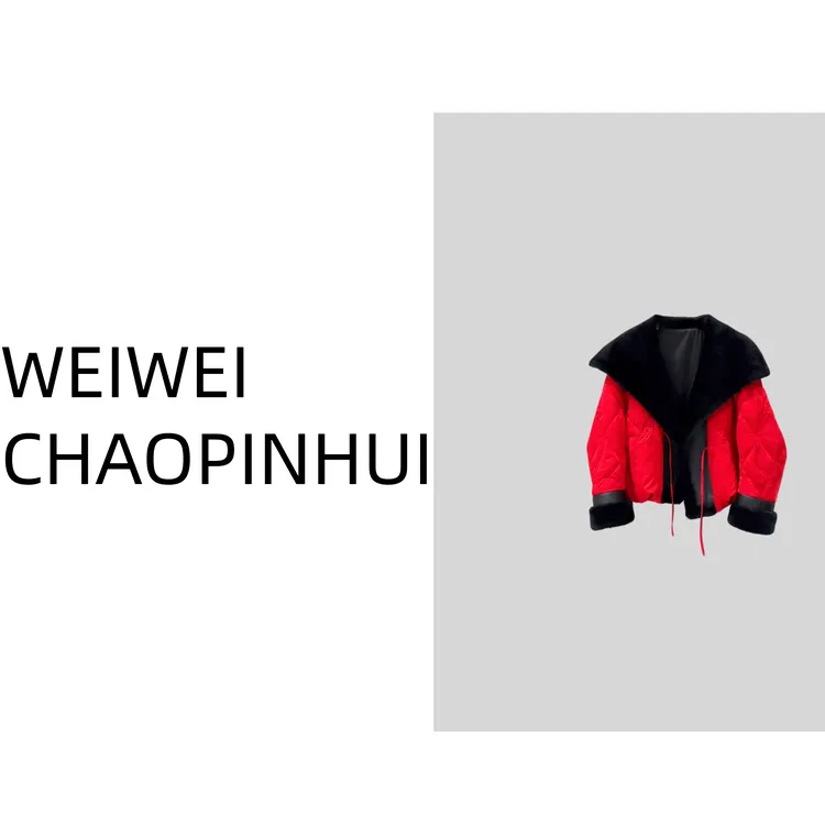 【薇薇高端欧货】冬季欧货时尚翻领百搭新中式鹅绒羽绒服- 31271091