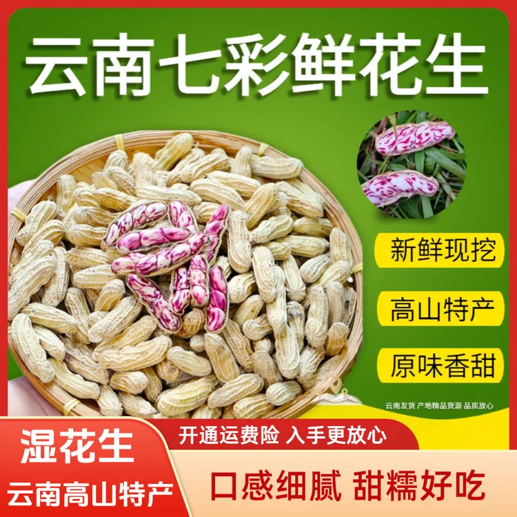 【新鲜七彩湿花生】云南七彩水果花生湿花生带壳花生豹纹花生1-9斤