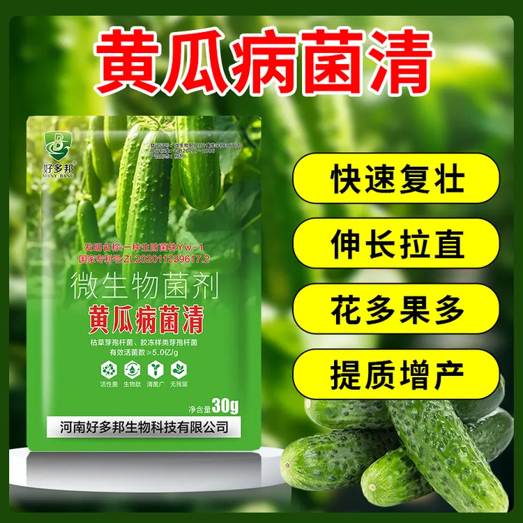 黄瓜专用黄瓜调节生长快速复壮黄瓜种植提质增收专用微生物菌肥商品图