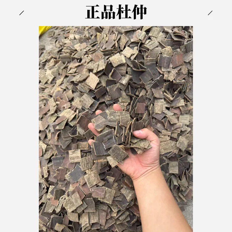 杜仲安国中药材市场批发