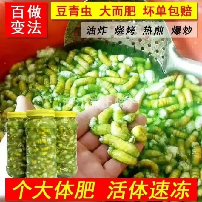 豆丹 灌云豆丹 豆丹肉  连云港特产  新鲜速冻 高蛋白 京东包邮