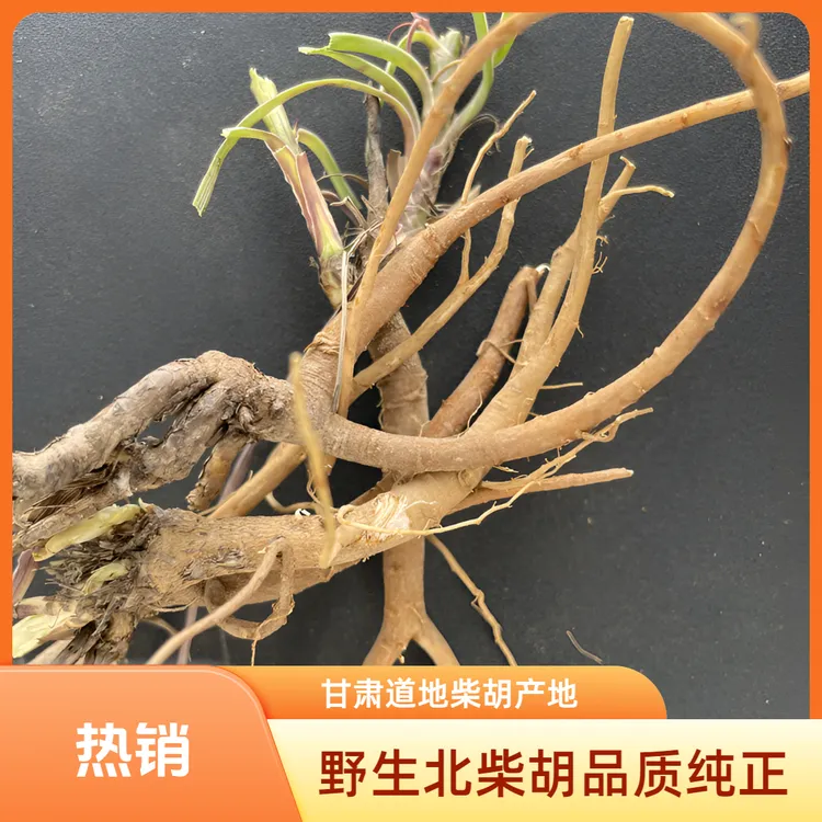 野生柴胡甘肃整根柴胡非种植道地无硫泡水煮水精选北柴胡黑柴胡